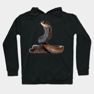 King Snake Hoodie